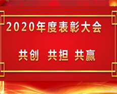 2020安的電子年度表彰大會(huì)順利召開(kāi) ---“共創(chuàng)，共擔(dān)，共贏”主題演講